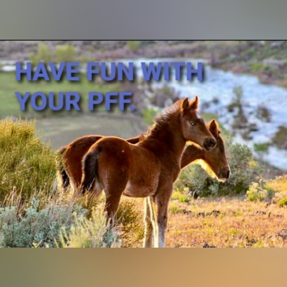 Share Show Live Listing 🎱 Add 2 to The Blue 🎱🎱🎱🎱🎱 - Picture 11 of 12